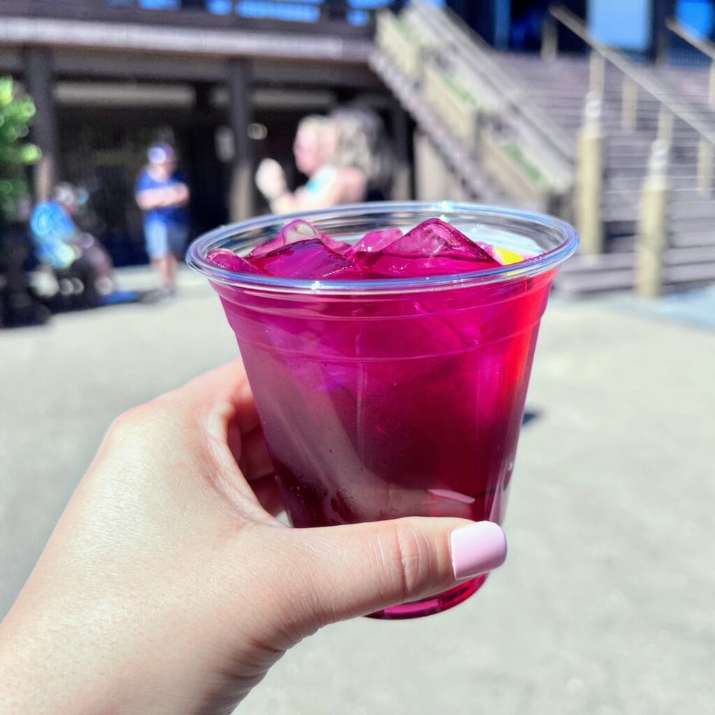 Violet Sake in Japan Pavilion at Epcot