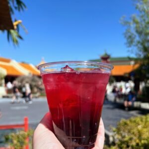 Honey Hibiscus Hard Iced Tea from Joy of Tea in China Pavilion