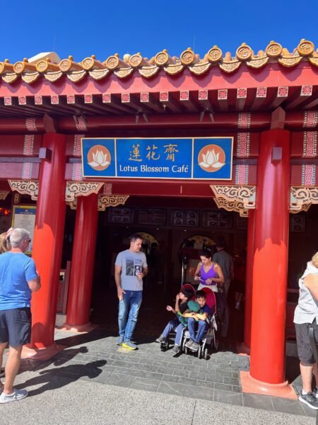 china-pavilion epcot lotus blossom