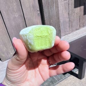 Green Tea Mochi Japan in epcot