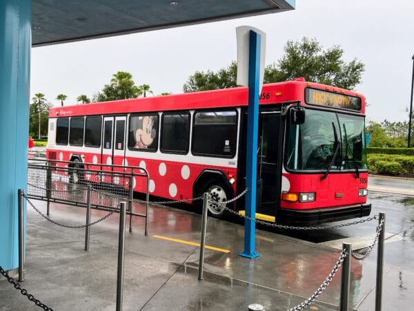 Disney bus disney transportation getting around walt disney world