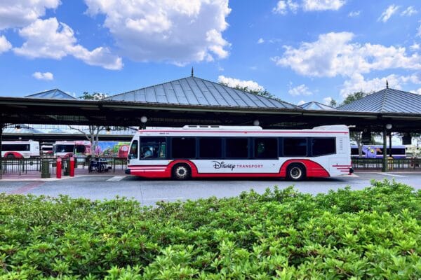 Disney bus disney transportation getting around walt disney world