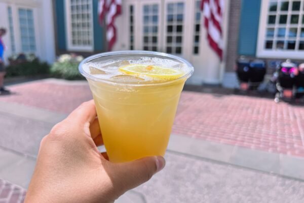 Tennessee Lemonade epcot drink around the world