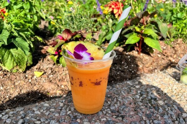 flower and garden festival cocktail at epcot