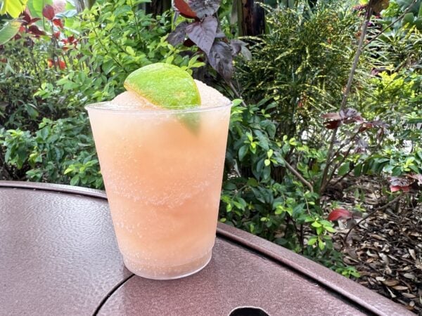 Citrus Slushy La Isla Fresca