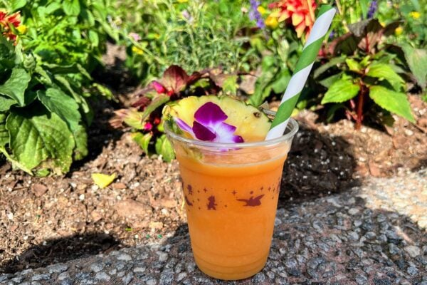 Land Cart Smoothie