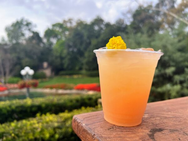 Peach Smash Canada Popcorn Cart