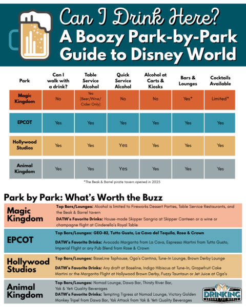 Disney World park guide: drinking options, bars, lounges, and cocktails in 2025.