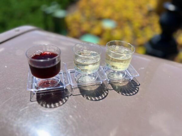 wine flight from the australia booth at epcot food and wine festival