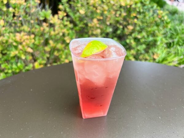 pomegranate codder from the coastal eats booth at epcot food and wine festival