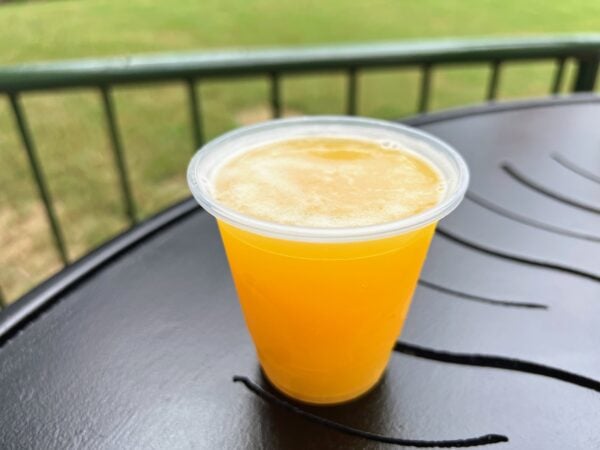 beer from fry basket at epcot food and wine festival