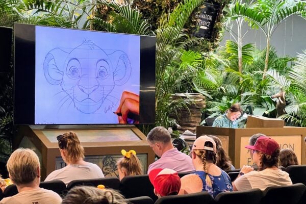 animation experience