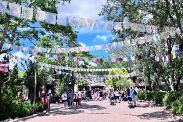 asia at animal kingdom
