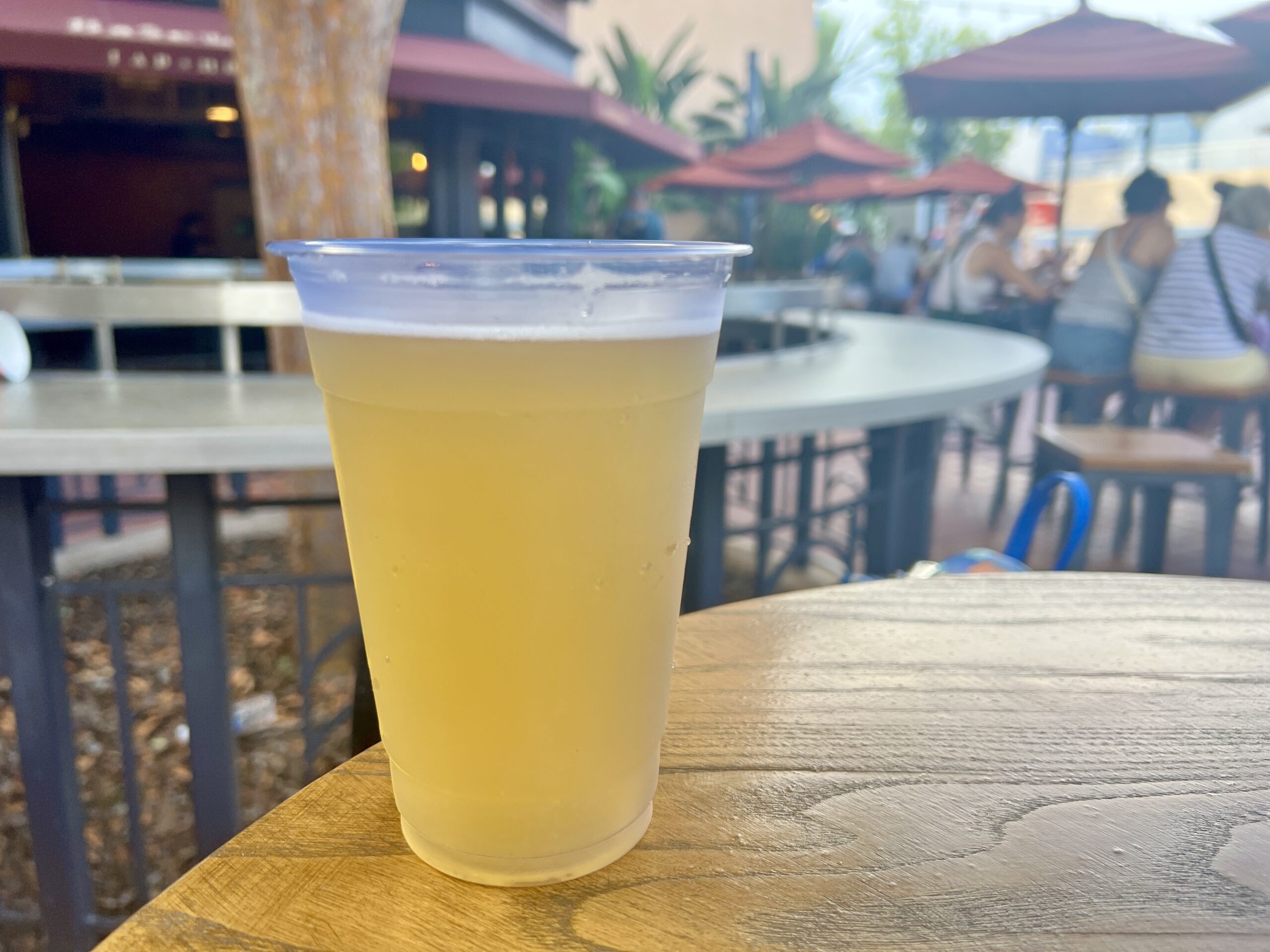 Disney Bar Hopping 101: Every Bar Crawl at Disney World