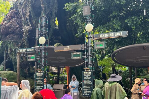 entrance to flight of passage