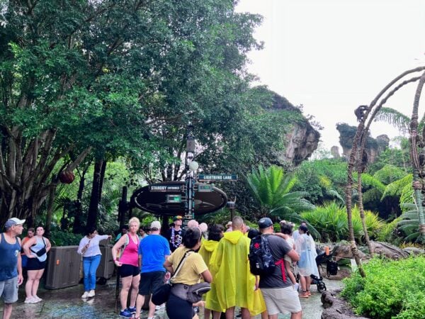 navi river journey entrance