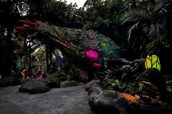 pandora at night