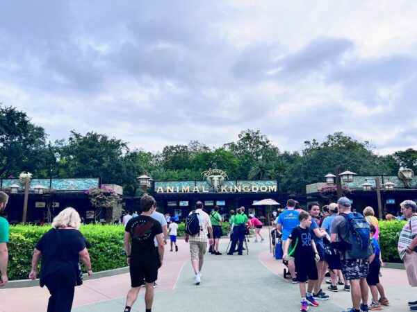 rope drop animal kingdom