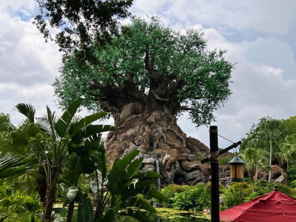 tree of life
