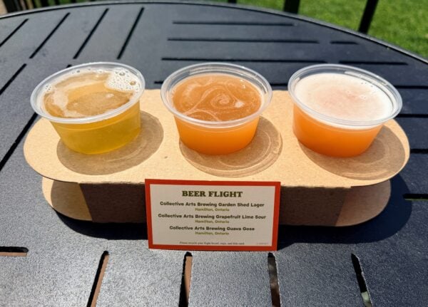 Beer flight from Collective Arts Brewing at EPCOT, featuring Garden Shed Lager, Grapefruit Lime Sour, and Guava Gose.