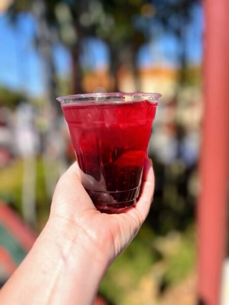 A hand holding up a cup of Honey Hibiscus Hard Iced Tea in the China pavilion at EPCOT
